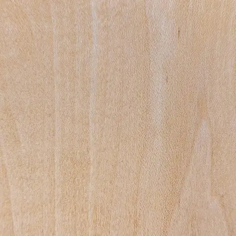 Haya