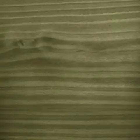 Bambú (542)