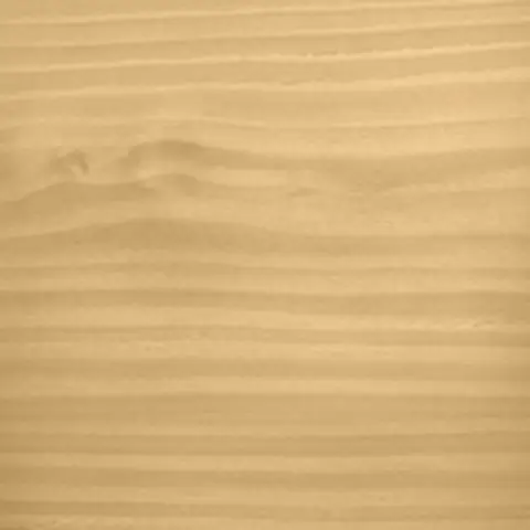 Camel (522)
