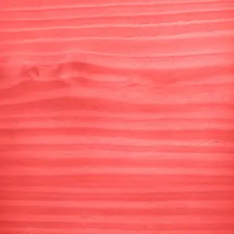 Coral (536)
