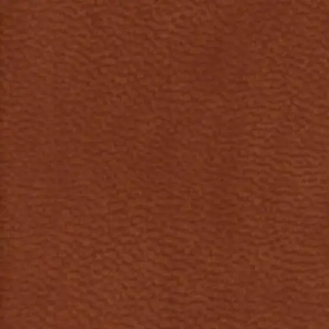 4655