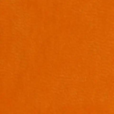 A858