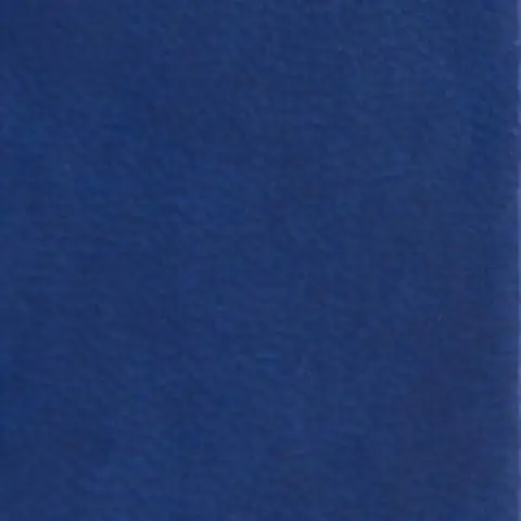 D454
