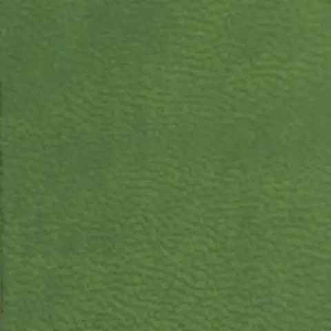 D517